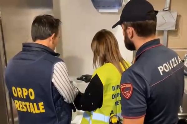 Catania, maxi controlli nella movida: chiuso ristorante infestato da topi e blatte
