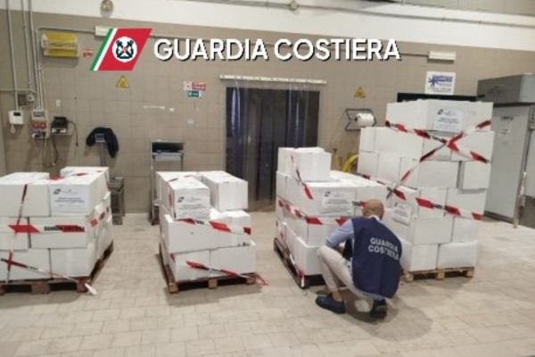 Guardia Costiera, operazione “Calypso”: sequestrati oltre 5.500 kg di prodotto ittico irregolare