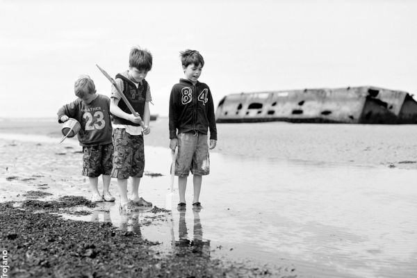 La pace e la non violenza