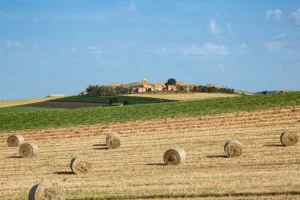 “Corleone libera e produttiva”, è la prima edizione dell’iniziativa volta alla scoperta...