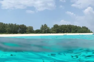 Pesca illegale e minacce marittime: costi annuali di 1 miliardo nel Oceano Indiano Occidentale.