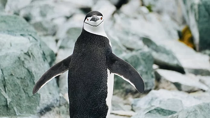 Strategie estreme degli animali per sopravvivere in ambienti pericolosi durante il sonno.