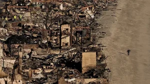 Cambiamento climatico: il mercato immobiliare in crisi, nessuna soluzione a portata di mano.