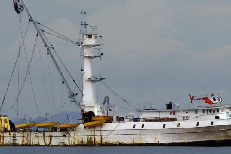 Studio rivela più ‘ritardatari’ che ‘leader’ tra i gestori delle pescherie d’alto mare.