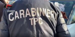 Dalle prime ore dell’alba, i Carabinieri del Nucleo Tutela Patrimonio Culturale (TPC) di Palermo...