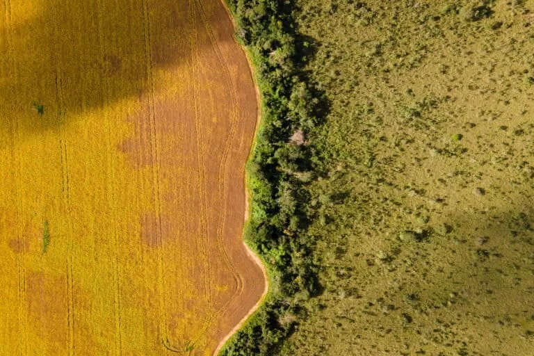 Strumenti finanziari innovativi potenziano progetti di bioeconomia tradizionale in Amazzonia.