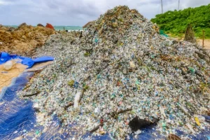 Microplastic: una nuova minaccia per la riproduzione dei coralli nei nostri oceani.