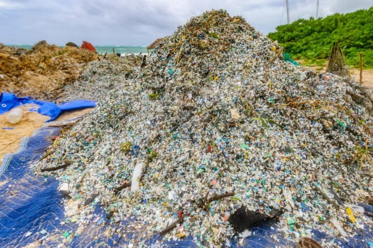 Microplastic: una nuova minaccia per la riproduzione dei coralli nei nostri oceani.