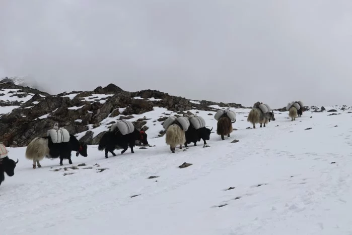 Leader indigeni del Nepal presentano nuova petizione contro progetto idroelettrico.