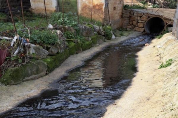 Corpo forestale, scoperti scarichi illeciti di tre oleifici nel Palermitano