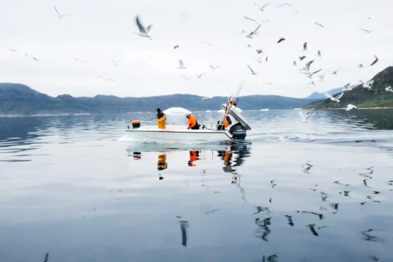 Gli inuit della Groenlandia meridionale esprimono opinioni sui minerali rari e il loro impatto.