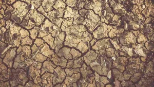 Agricoltori siciliani in piazza contro la gestione dell’acqua, si attendono ancora i ristori per la...