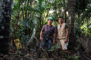 Scienziati chiedono più attenzione agli ecosistemi trascurati dell’America Latina per la lotta al clima.