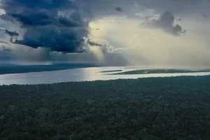 America Latina 2025: Promesse di conservazione sfidano crimine e estrazione delle risorse.