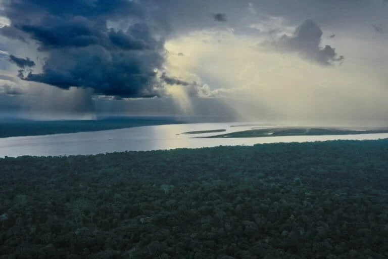 America Latina 2025: Promesse di conservazione sfidano crimine e estrazione delle risorse.