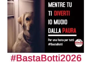 Botti di fine anno: una violenza contro animali, ambiente e salute pubblica