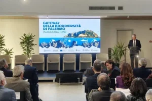 Non sarà solo un riferimento in ambito didattico, ma un’autentica scommessa per la città: è il nuovo...