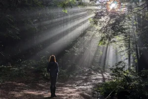 15 forze che plasmeranno il futuro della conservazione nei prossimi 10 anni