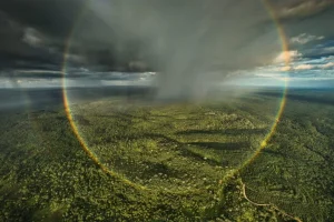 2025: Un anno cruciale per il giornalismo di Mongabay e la conservazione ambientale.