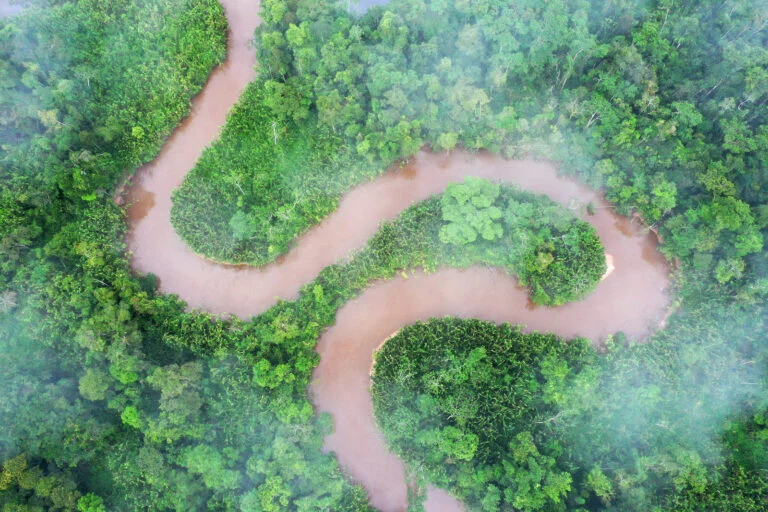 Progetti di conservazione abbandonati: quale vero progresso stiamo realizzando nella protezione?