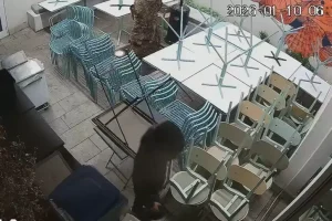 Emergenza sicurezza a Palermo, furto con spaccata al ristorante Molo Sant’Erasmo