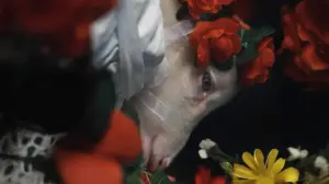 Agnus Dei di Massimiliano Camaiti in selezione ufficiale al FIPADOC di Biarritz