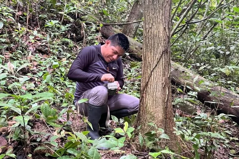 Richar Antonio Demetrio: primo ricercatore Asháninka a pubblicare studi sulle api