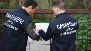 Truffa sui contributi agricoli: sequestrati 454mila € a 4 imprenditori a Messina