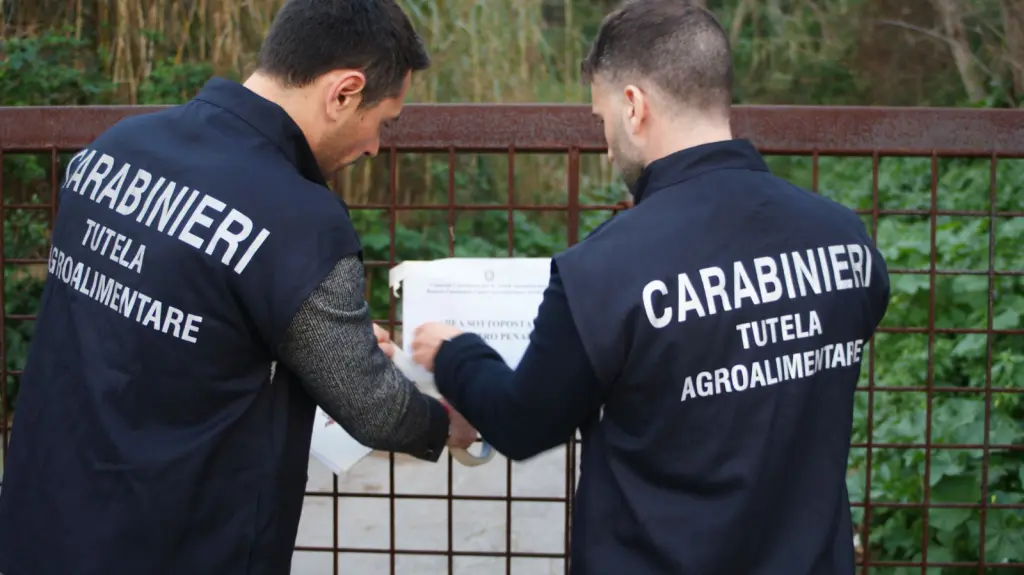 Truffa sui contributi agricoli: sequestrati 454mila € a 4 imprenditori a Messina