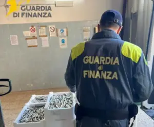 Messina, sequestrati 540 kg di pesce senza tracciabilità: donato in beneficenza