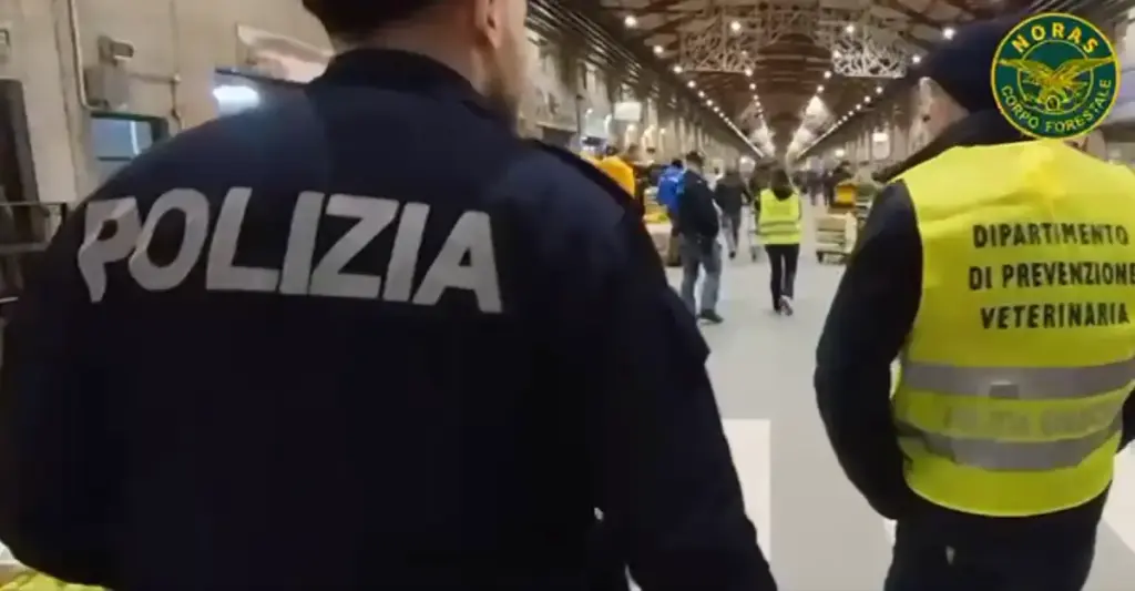 Controlli straordinari al MAAS di Catania: sequestrate 4,5 tonnellate di prodotti non tracciati