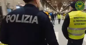 Controlli straordinari al MAAS di Catania: sequestrate 4,5 tonnellate di prodotti non tracciati