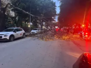 Vento di burrasca su Palermo: oltre 70 interventi dei vigili del fuoco, crolli e alberi abbattuti