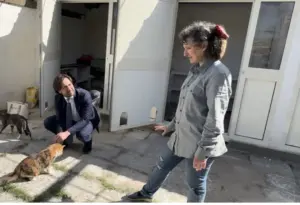 Palermo, ordinanza sui gatti di Gioacchina: trasferimento dei felini