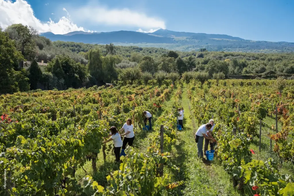 Tra memoria e futuro, Donnafugata a Vinitaly 2026 presenta il “Pranzo di famiglia”