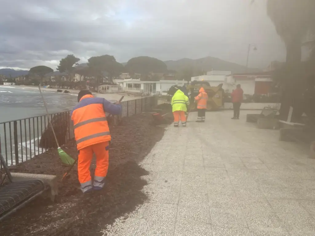 Mondello: al via la pulizia straordinaria del litorale dalla posidonia