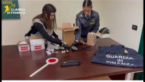 Traffico illecito di fossili: sequestro a Palermo, i reperti esposti al Museo Gemmellaro