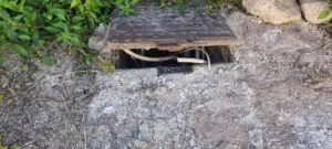 Zona Ospedale Cervello al buio: allarme sicurezza per furti di cavi e vandalismi