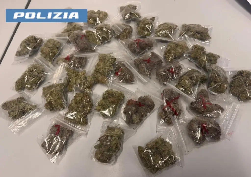 Controlli antidroga della Polizia di Stato: tre arresti e sequestri di cocaina, MDMA e marijuana
