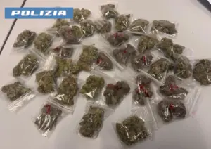 Controlli antidroga della Polizia di Stato: tre arresti e sequestri di cocaina, MDMA e marijuana