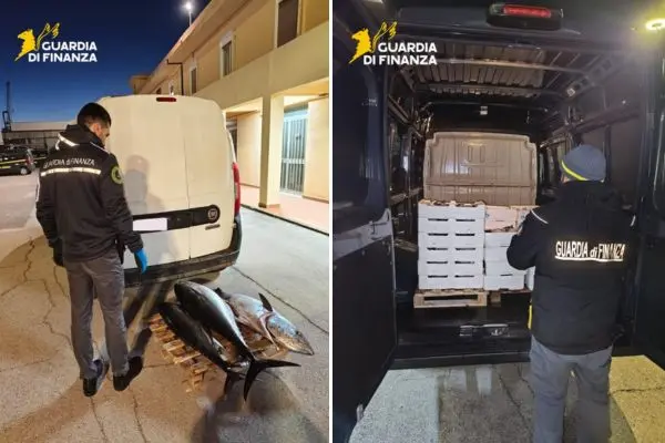Messina, sequestrati 400 kg di prodotti ittici privi di tracciabilità
