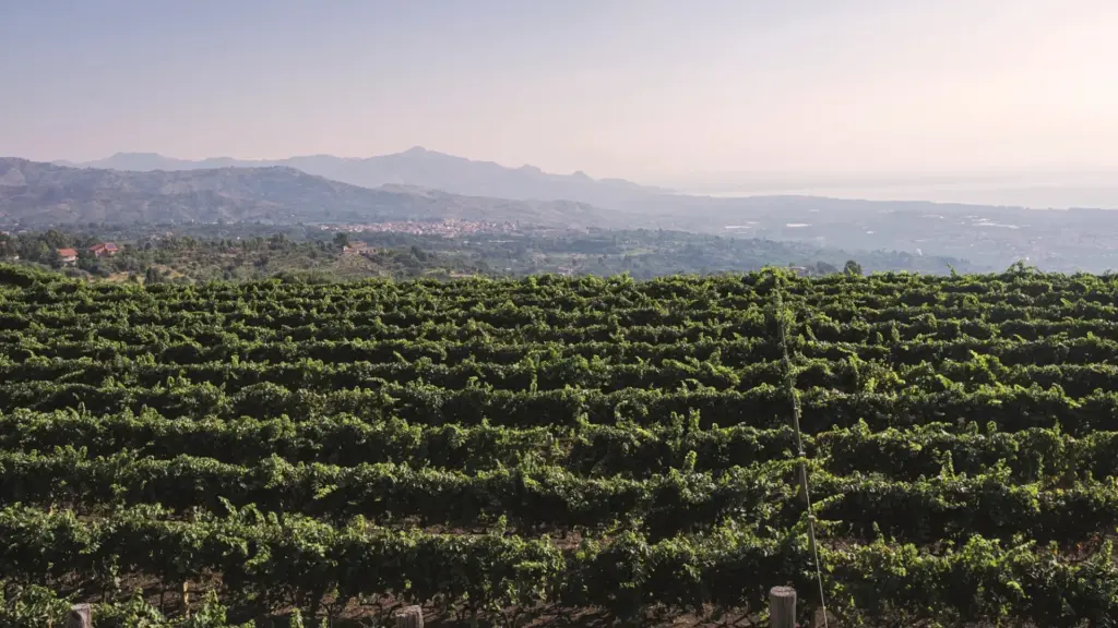 Tenute Orestiadi torna al Vinitaly 2026:  Il vino come linguaggio contemporaneo