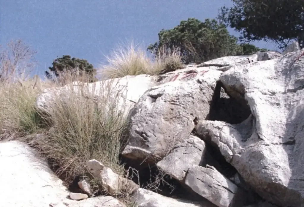 Dissesto, in gara la progettazione per il consolidamento di Monte Gallo a Palermo