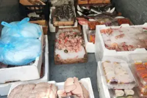 Sequestrate 21 tonnellate di prodotti ittici non tracciati