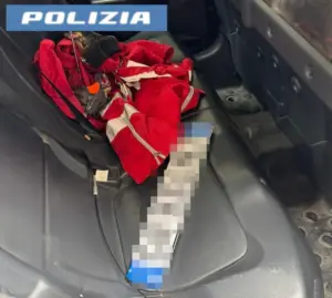 Travestiti da Croce Rossa per svaligiare casa: la fuga finisce male