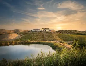 Tenute Navarra a Vinitaly 2026 Identità territoriale, visione contemporanea e crescita sui mercati