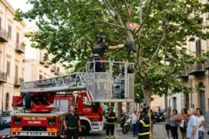 Animali in pericolo: quando chiamare i pompieri e quanto costa l’intervento