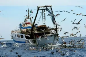 Caro carburanti, pescatori pronti alla protesta: blocco dello Stretto il 1° maggio