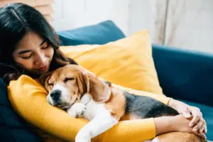 Le coccole del cane: non sempre sono solo affetto, possono essere anche una richiesta di aiuto