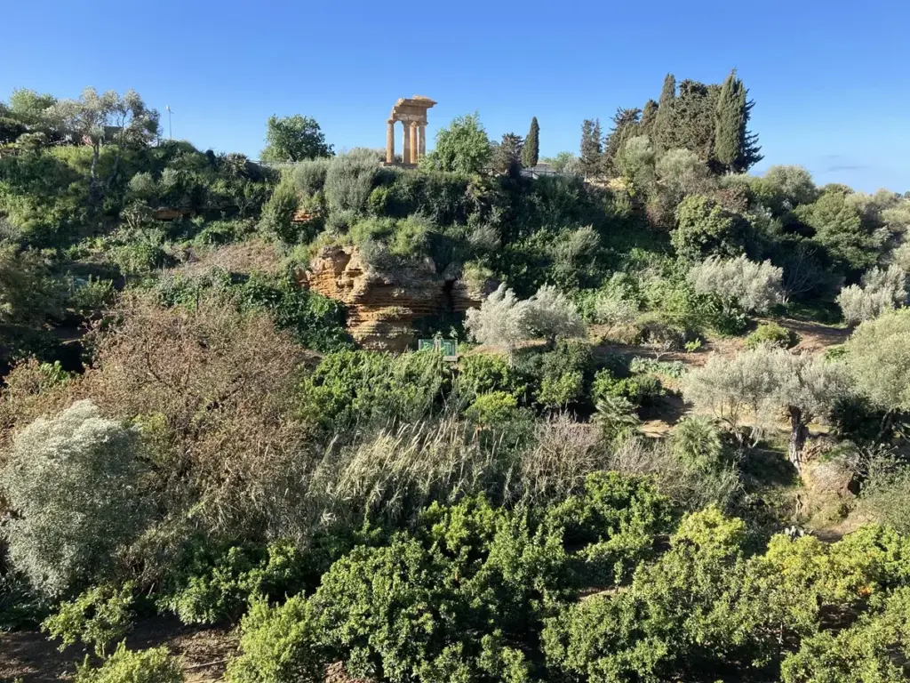 “Camminate nella biodiversità” del FAI: eventi alla Valle dei Templi e al Giardino della Kolymbethra